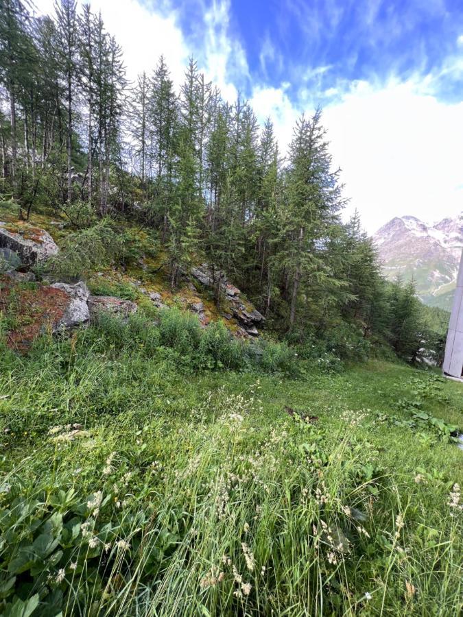 ブレウイル・チェルヴィナイアCasa Cervinia Shuss 2アパートメント エクステリア 写真